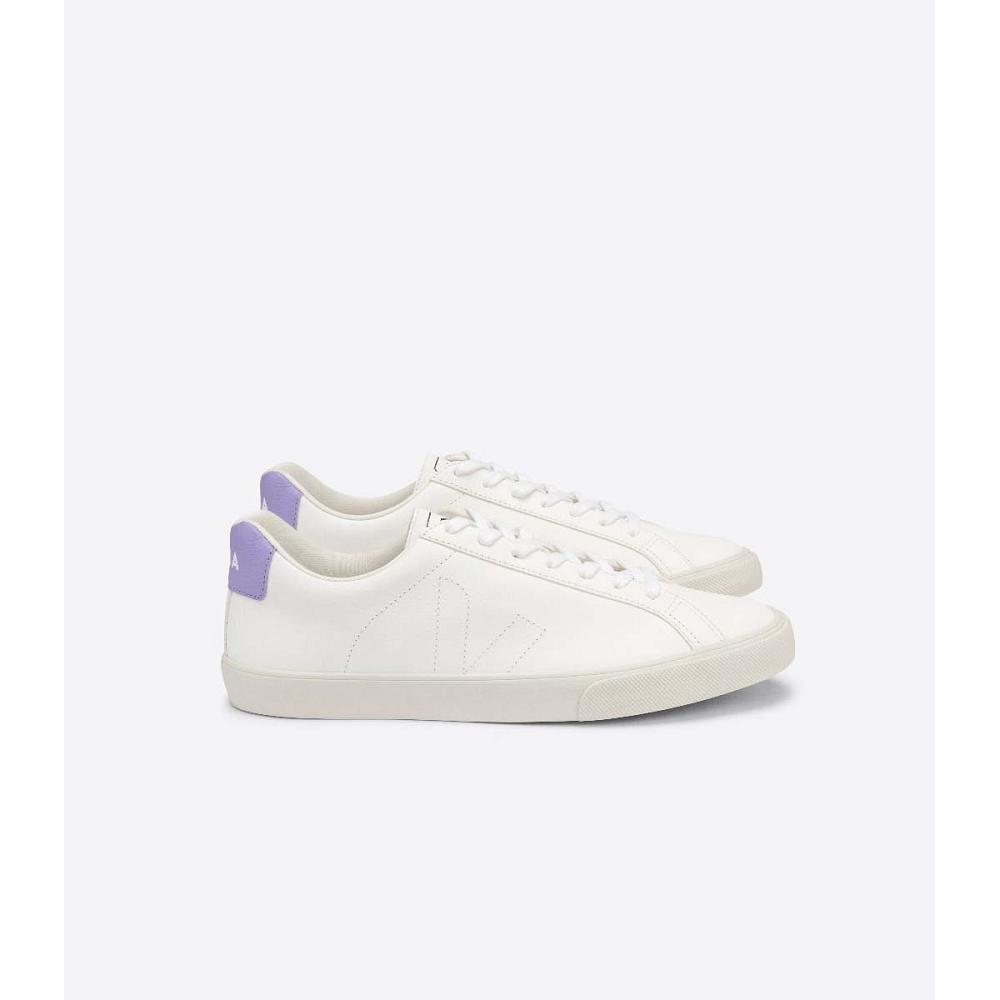 Women\'s Veja ESPLAR CHROMEFREE Sneakers White/Purple | SG 618LIS